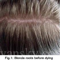 220517153018_Hair-Before Dying-s.jpg